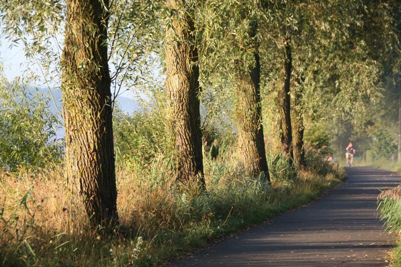 B&B The View Bis Kortrijk Exteriör bild